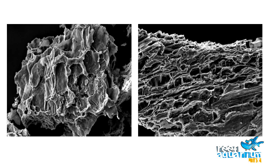 L'immagine al microscopio elettronico a scansione (SEM) del carbone attivo