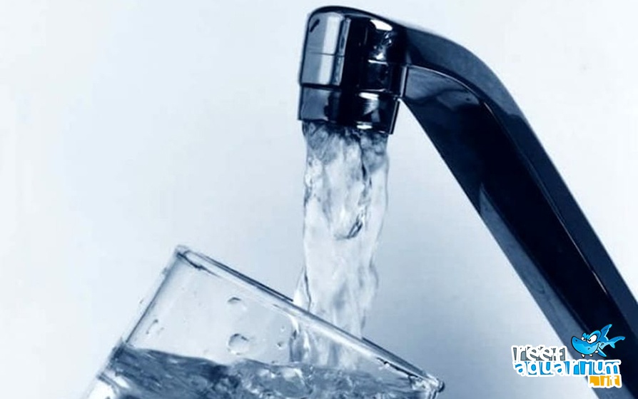 La composizione chimica dell'acqua di rubinetto può essere mortale per alcuni organismi.