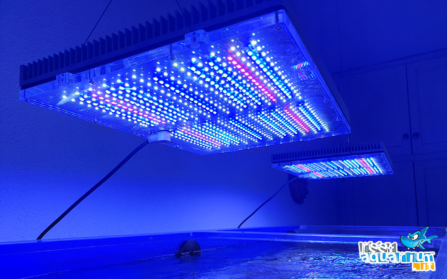 mediterraneo barriera LED 3W Royal Blu 450-455 nm per acquario marino reef 