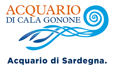 Acquario di Cala Gonone